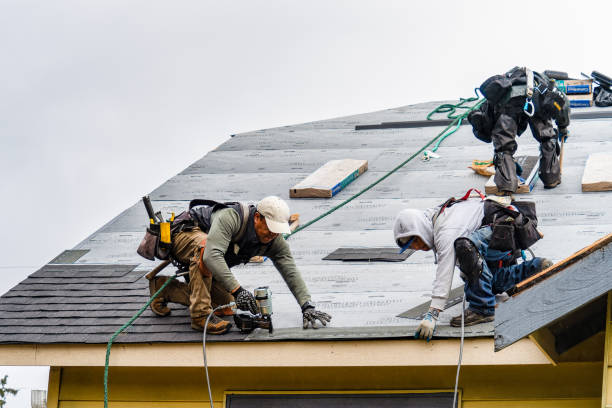 Professional Roof Replacement technician working in Brandeis, CA